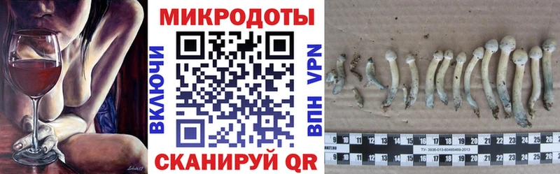 ссылка на мегу ссылка  Нижняя Тура  Галлюциногенные грибы прущие грибы  где купить наркоту 